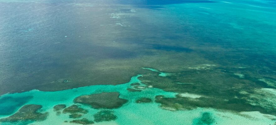 bahamas beach high view