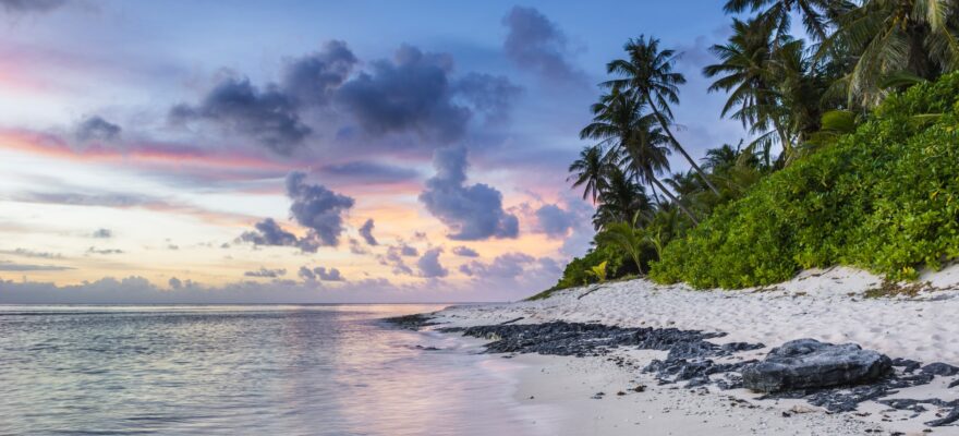 hawaii beach