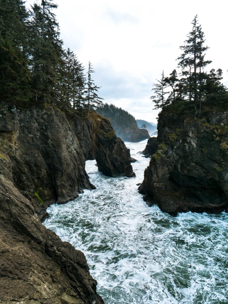 pacific northwest sea view