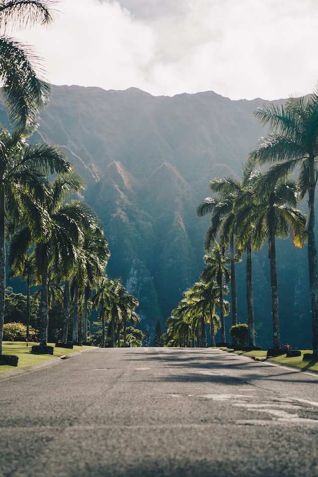 road in hawaii