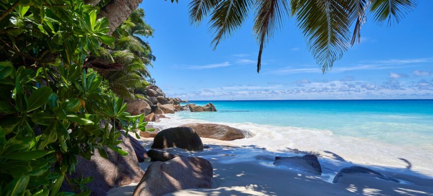 seychelles beach with palms and stone