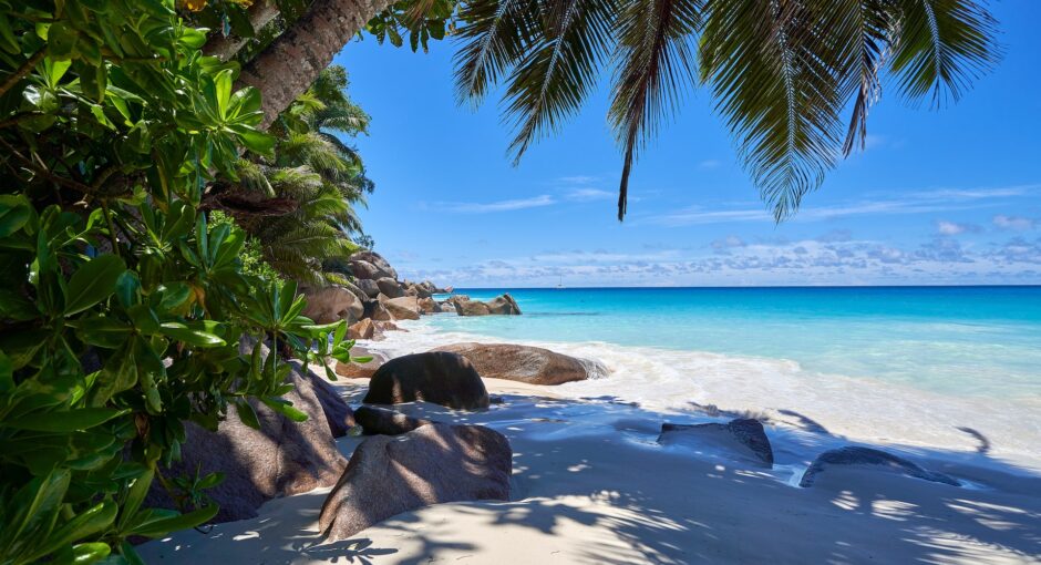 seychelles beach with palms and stone