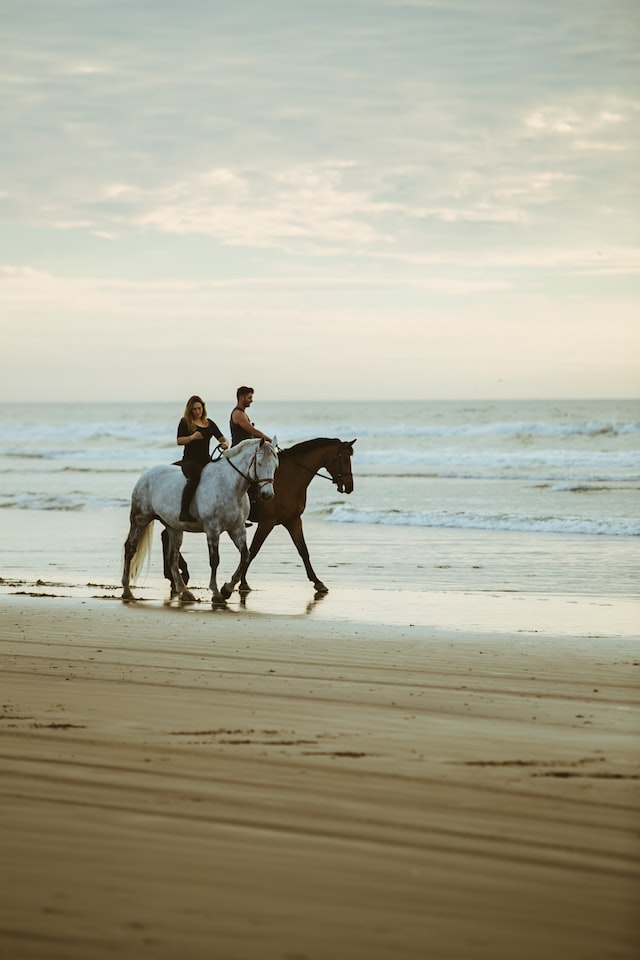 two persons in the horses on the beach